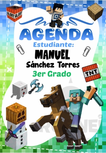 Minecraft Caratula 09